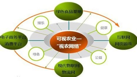 VIE結(jié)構(gòu) 網(wǎng)絡(luò)技術(shù)服務(wù)企業(yè)的國(guó)際化融資路徑解析